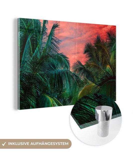 MuchoWow Acrylglasbild Palme - Tropisch - Dschungel, (1 St), Acrylglasbilder Wohnzimmer & Schlafzimmer