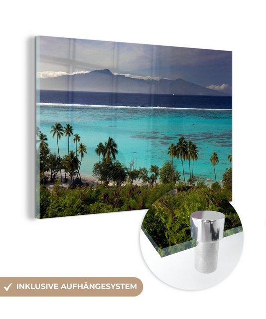MuchoWow Acrylglasbild Palmen am Strand von Moorea in Ozeanien, (1 St), Acrylglasbilder Wohnzimmer & Schlafzimmer