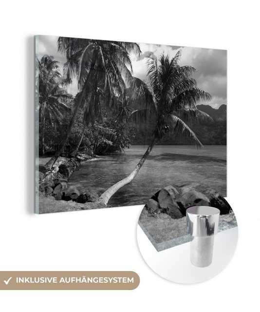 MuchoWow Acrylglasbild Palmen am Strand von Mo'orea in Schwarz und Weiß, (1 St), Acrylglasbilder Wohnzimmer & Schlafzimmer