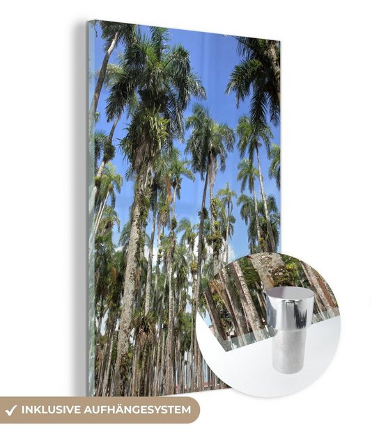MuchoWow Acrylglasbild Palmen im Palmengarten in Paramaribo, Surinam, (1 St), Glasbilder - Bilder auf Glas Wandbild - Foto auf Glas - Wanddekoration