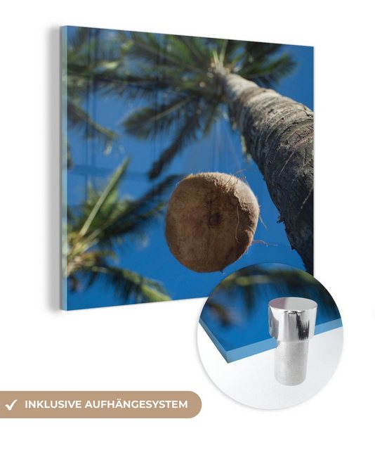 MuchoWow Acrylglasbild Reife Kokosnuss fällt von der Palme in perlweißen Sand, (1 St), Glasbilder - Bilder auf Glas Wandbild - Foto auf Glas - Wanddekoration