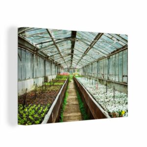 OneMillionCanvasses® Leinwandbild Pflanzen in einer Reihe in einem Gewächshaus, (1 St), Wandbild Leinwandbilder, Aufhängefertig, Wanddeko, 30x20 cm