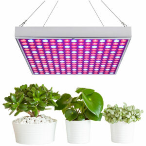 Randaco - 15W led Pflanzenlampe Led Grow Lampe Full Spectrum Wachsen Licht Wachstumslampe Pflanzenlicht für Zimmerpflanzen Gemüse und Blumen - Silber