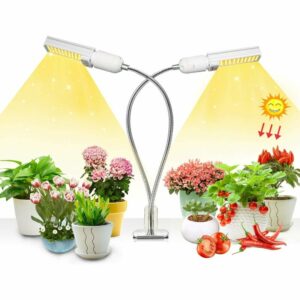 50w Pflanzenlampe, Wachstumslampen, Packung mit 2 Vollspektrum-Glühbirnen, Plant kultivieren Sie eine Lampe mit einer austauschbaren Glühbirne