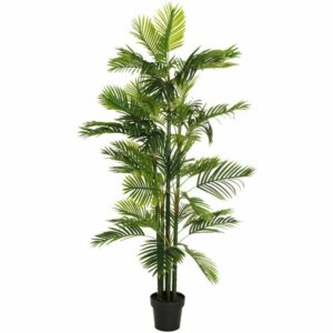 Dekorationspflanze grün PVC 170 cm Palme
