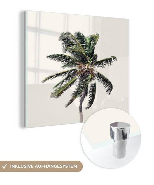 MuchoWow Acrylglasbild Palme - Grün - Natur - Blätter, (1 St), Glasbilder - Bilder auf Glas Wandbild - Foto auf Glas - Wanddekoration