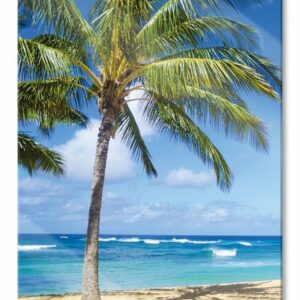 Pixxprint Glasbild Wunderschöner Strand mit Palmen, Wunderschöner Strand mit Palmen (1 St), Glasbild aus Echtglas, inkl. Aufhängungen und Abstandshalter