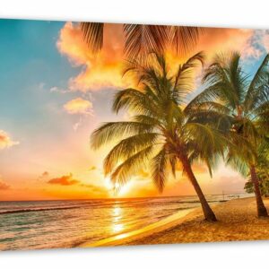 Pixxprint Leinwandbild Palmen im Sonnenuntergang auf Barbados, Palmen im Sonnenuntergang auf Barbados (1 St), Leinwandbild fertig bespannt, inkl. Zackenaufhänger