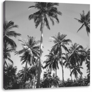 Pixxprint Leinwandbild Tropische Palmen Kunst B&W, Tropische Palmen Kunst B&W (1 St), Leinwandbild fertig bespannt, inkl. Zackenaufhänger