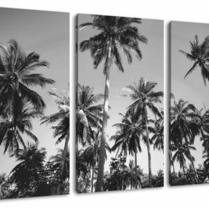 Pixxprint Leinwandbild Tropische Palmen Kunst B&W, Tropische Palmen Kunst B&W 3Teiler (120x80cm) (1 St), Leinwandbild fertig bespannt, inkl. Zackenaufhänger