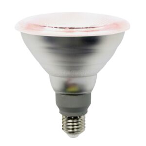 LIGHTME LED-Pflanzenlampe E27 PAR38 12W 50° Abstrahlwinkel