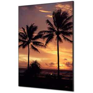 Showdown Spannstoff Wanddekoration - din A1 - Palmen Sonnenuntergang - Schwarzer Rahmen