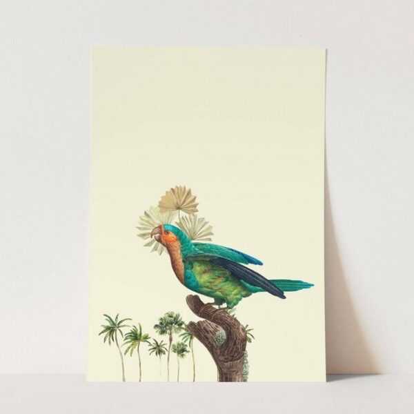 Sinus Art Wandbild Vogel Motiv Papagei Palmen Exotisch Süden Paradies