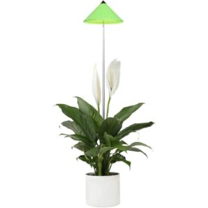 Unbranded - Parus by Venso SUNLiTE 7W led Vollspektrum Pflanzenlampe Grün, Indoor Plants Pflanzen Beleuchtung, mit ausziehbarem Teleskopstab, Parus