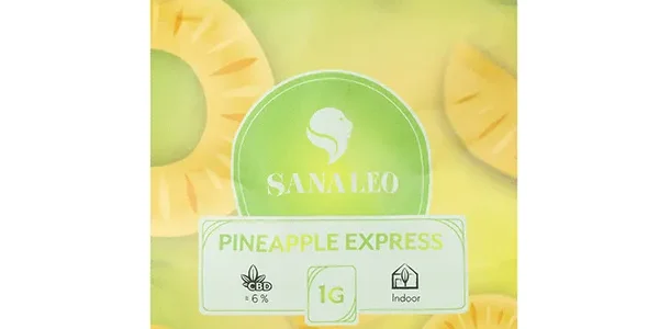 Die Pineapple Express CBD-Blüten gehören zu den beliebtesten Sorten im Premium-Segment von HANFJACK. Mit ihrem einzigartigen Aroma und der außergewöhnlich feinen Trichomen-Struktur ist sie ein echter Klassiker. Diese Sorte wird indoor angebaut