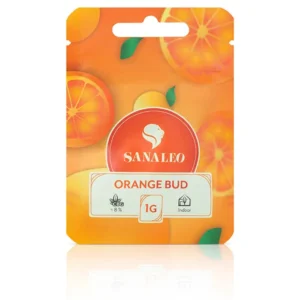 Orange Bud CBG Blüten jetzt bei HANFJACK bestellen.    Premium-Blüte mit hohem Cannabigerol-Gehalt. Entdecke die CBG-Blüte im Sortiment von HANFJACK!    Orange Bud CBG überzeugt mit einem hohen Gehalt an Cannabigerol (CBG) und wird indoor gegrowt. Jetzt bestellen und probieren!  CBG-Gehalt  Die Sorte Orange Bud besitzt einen CBG-Gehalt von bis zu 9 %.  THC-reduziert  Bei der Sorte Orange Bud wurde der THC-Gehalt nachträglich reduziert